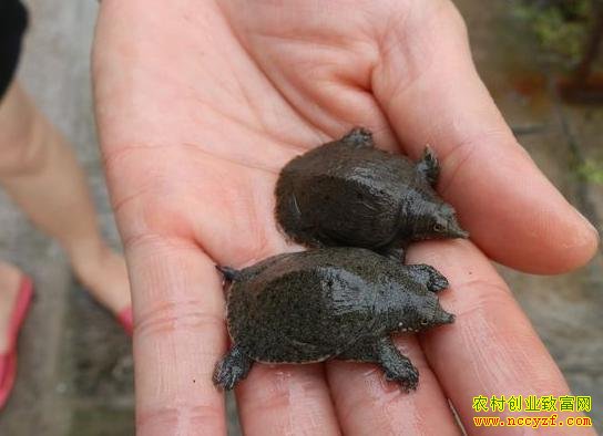 ��Ϫ�ڱ�ͼƬ