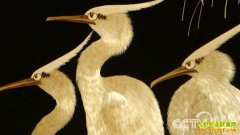 [��ɫʱ��]«έ��������ҵ��ԣ·