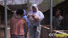 [�¸���]Ϊʲô��Ը����Ž�������ҵ