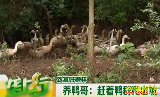 ������Ѽ