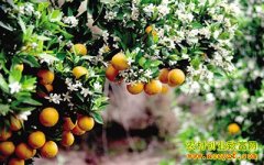 [�Ƽ�Է]���ٵȵ�������ժ��