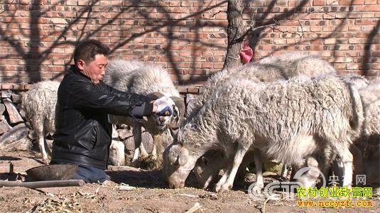 �ӱ��żҿ�����Ӳ������������ͼƬ