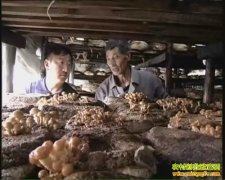 [ũ�����]�Ͼ��������ü�����Ƶ