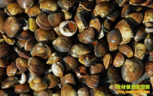 �趯�����ĸ�ͼƬ