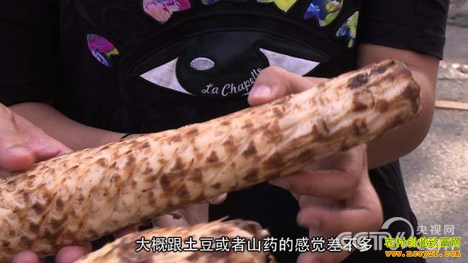 ��Į�м�����������ͼƬ