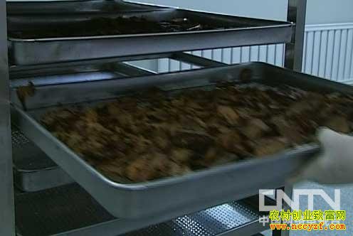 �����ؼӹ�ͼƬ