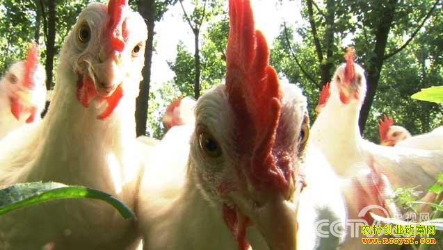 ������ҵ��ϱ�����䷼��ɽ����