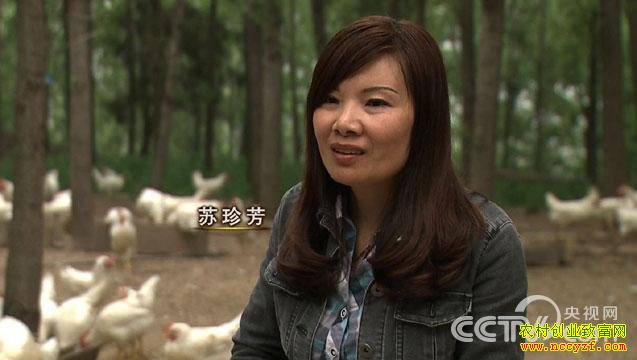 ������ҵ��ϱ�����䷼��ɽ����