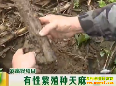 ��ֲ�¸���Ŀ���Ҽһ��������� �ϲ�ҵ�������̻�