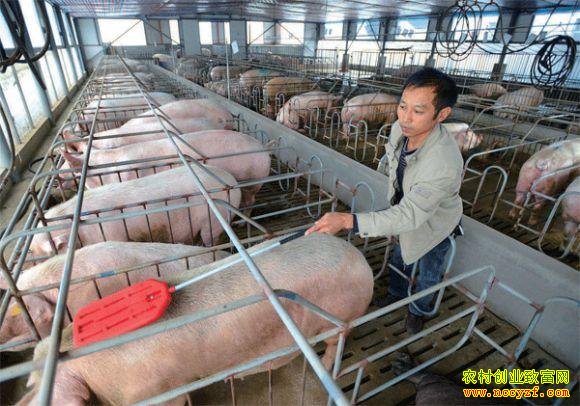 ������ͼƬ