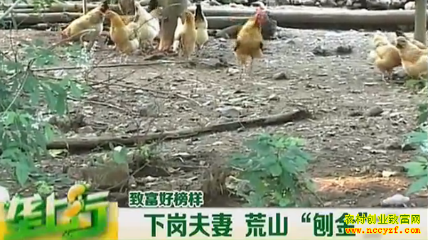 ��������ͼƬ