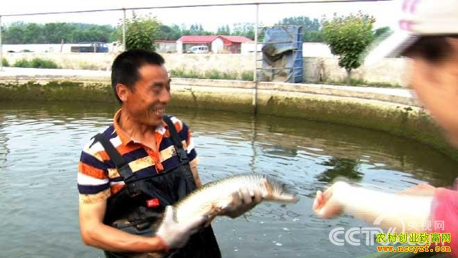 �ҿ�����׬Ǯ