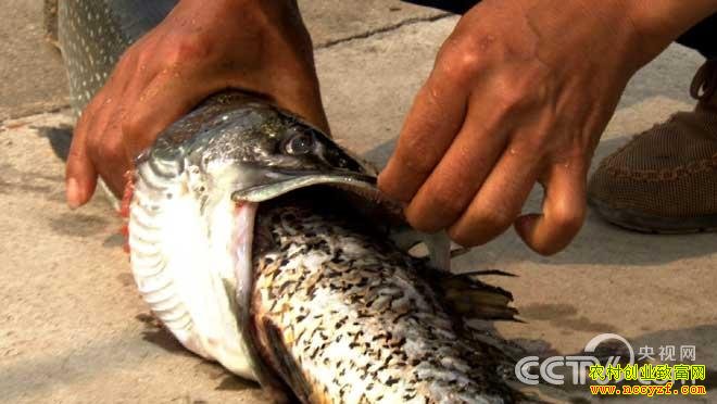 �ҿ�����׬Ǯ