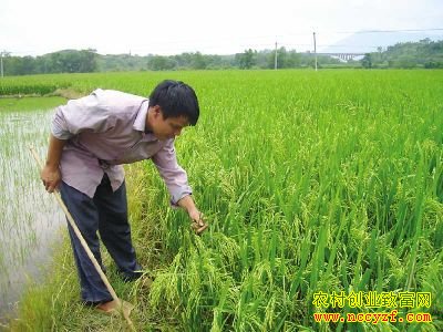 �л�ˮ��ͼƬ