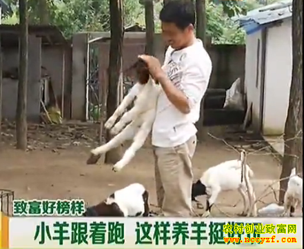 ����������ͼƬ