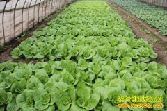 [ũ�����]���п��2����ֲ������Ƶ