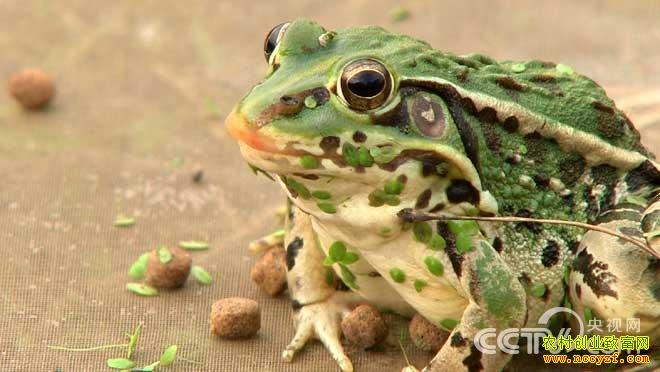 ���������������������¸�