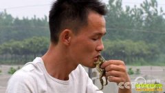 [�¸���]���������������������¸���Ƶ