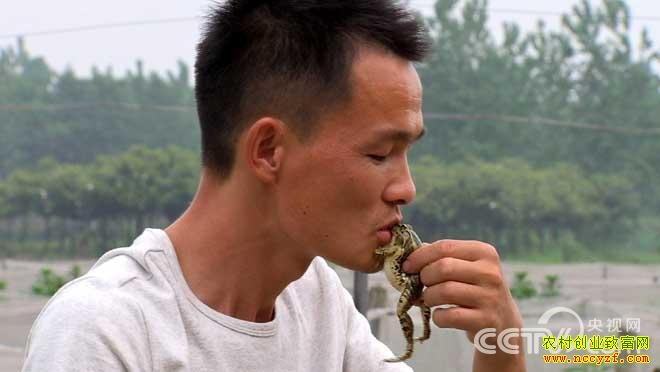 ���������������������¸�