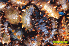 [ũ�����]�̲��Ϸ���ֳ����