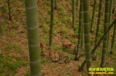 [�Ƽ�Է]��������л��������������ġ��ɼ���