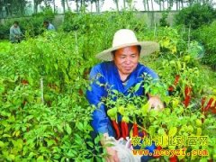 [ũ�����]�����ӽ����ּ�����Ƶ