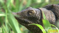 [�Ƽ�Է]������ֳ�����飨1������������