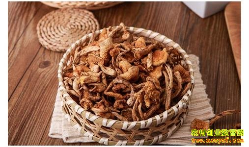 ���ӹ��ӹ�ͼƬ