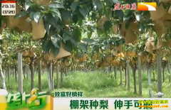 �¸��ð������������ ���ֿ�ժ