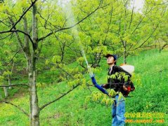 [ũ����]ɭ�ֺ�����μ�����Ƶ