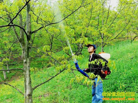 [ũ����]ɭ�ֺ�����μ���