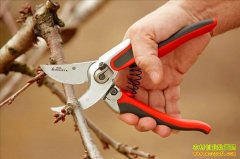 [ũ�����]��ӣ�������޼�������Ƶ