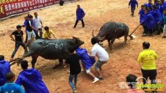 [�¸���]�������ȿ���ţ�ĲƸ����£�