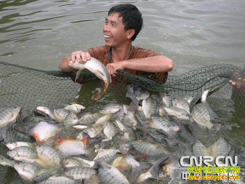 �޷�����ֳͼƬ