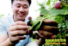 ��������ֲǰ����