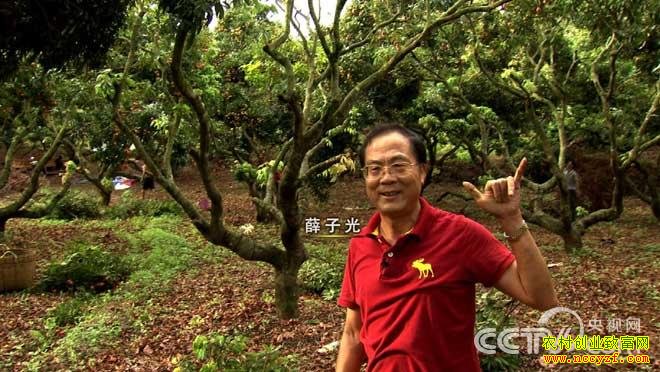 �㶫����Ѧ�ӹ�����֦