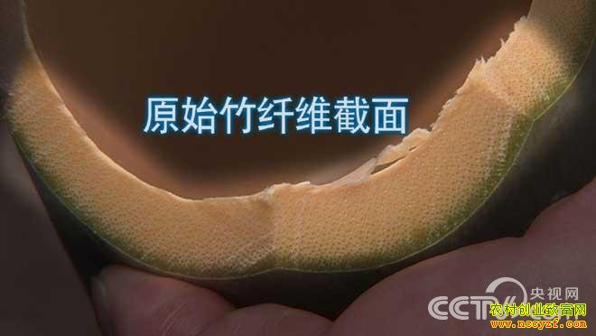 ������顰˿����׬Ǯ��2015.7.29��