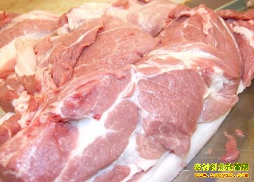 Ϊ��һ�������