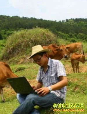 �������������嵱��ţ�ġ� 