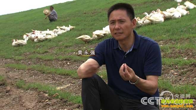 ���������¸�����(��)������ʼ�ľ��ղƸ�