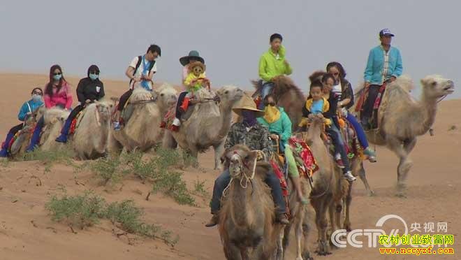 ������ɳĮ�е����ղƸ�