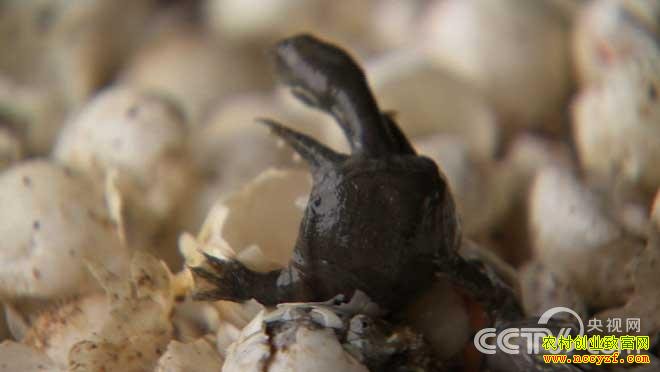 �㽭��Ҧ���������¼�����������̻�