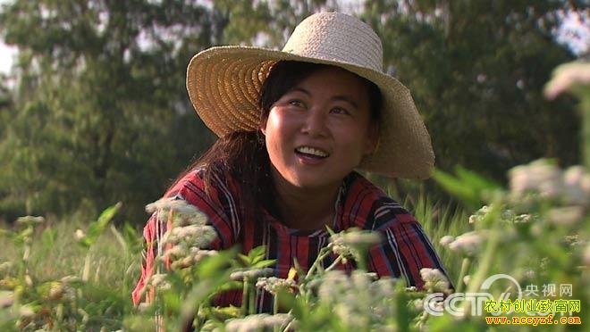 [�¸���]������������Ԩ�ְ������ڲ�ͬ