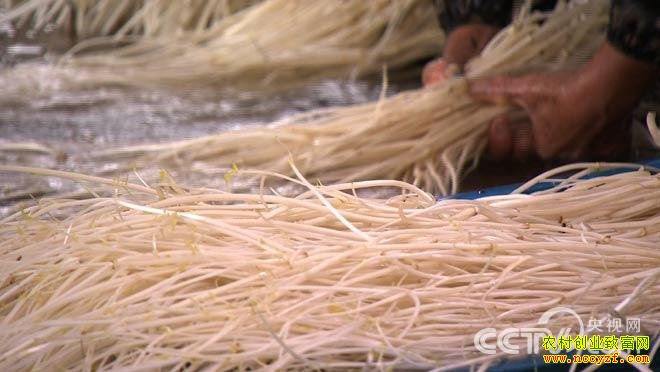 [�¸���]������������Ԩ�ְ������ڲ�ͬ