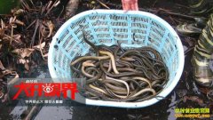 [�Ƽ�Է]�㽭���׷���������������Ƶ