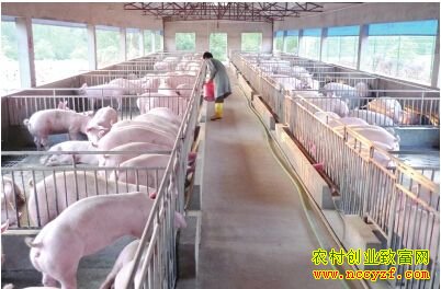 �����۸�����