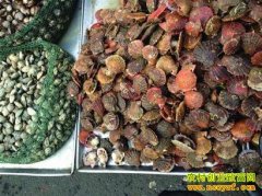 [ũ�����]Ϻ���ȱ��ķ���������Ƶ