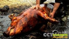 [�¸���]���ϴ����Կ������ӻ�ͷ36���ٴ�ҵ������