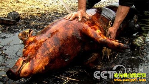 [�¸���]���ϴ����Կ������ӻ�ͷ36���ٴ�ҵ������