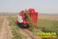 [ũ�����]��ι�뻨�������ջ�����Ƶ